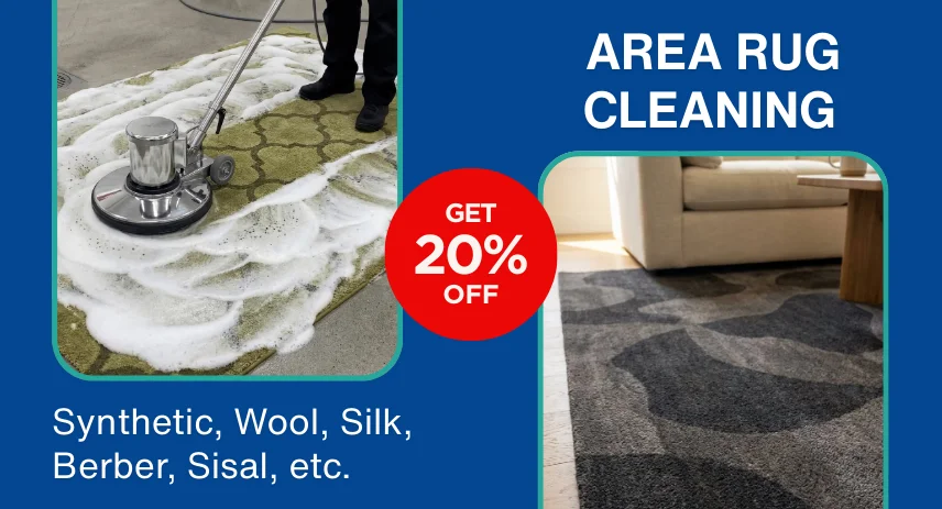 FOR AREA RUG CLEANING